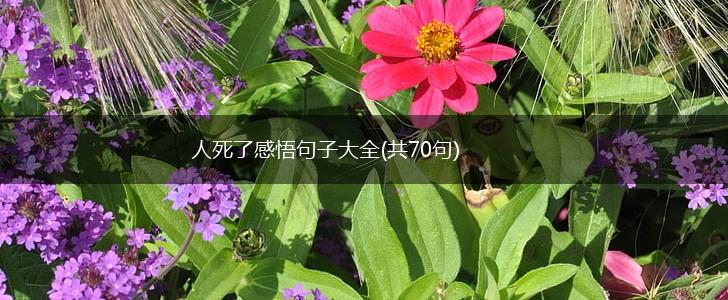 人死了感悟句子大全(共70句),第1张