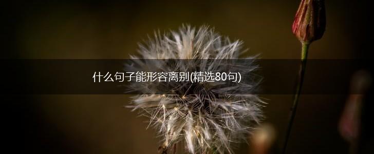什么句子能形容离别(精选80句),第1张