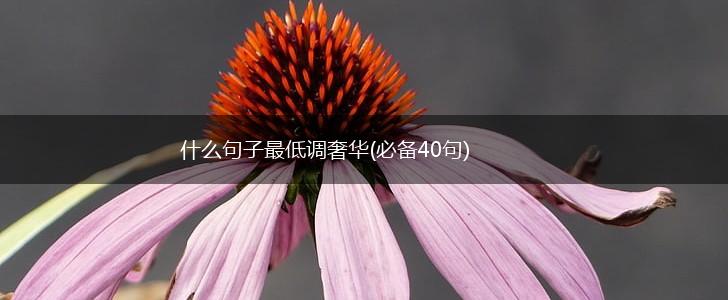 什么句子最低调奢华(必备40句),第1张
