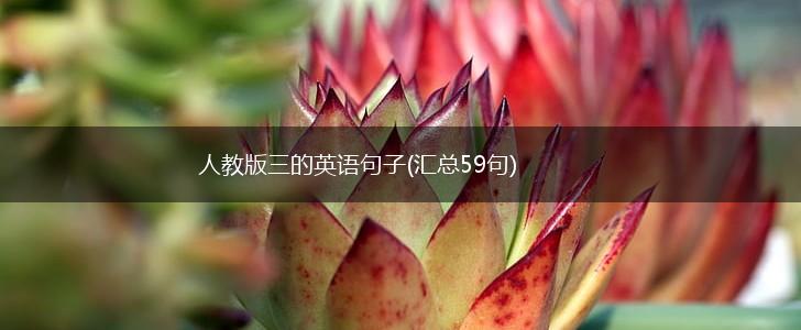 人教版三的英语句子(汇总59句),第1张