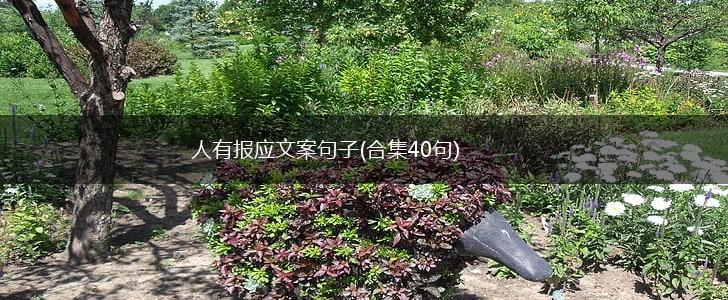 人有报应文案句子(合集40句),第1张