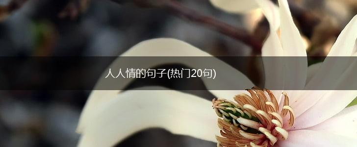 人人情的句子(热门20句),第1张