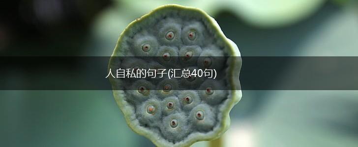人自私的句子(汇总40句),第1张