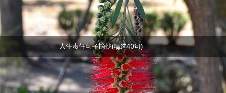 人生责任句子摘抄(精选40句),第1张