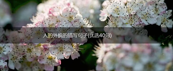 人的外貌的描写句子(优选40句),第1张