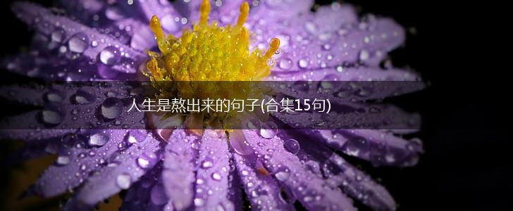 人生是熬出来的句子(合集15句),第1张