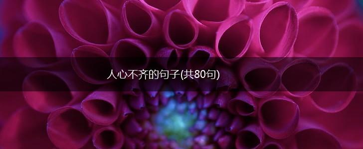 人心不齐的句子(共80句),第1张