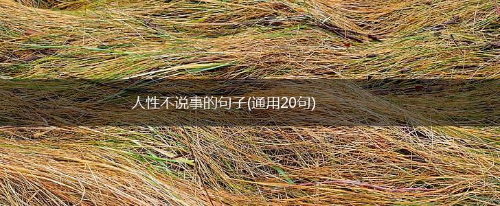 人性不说事的句子(通用20句),第1张