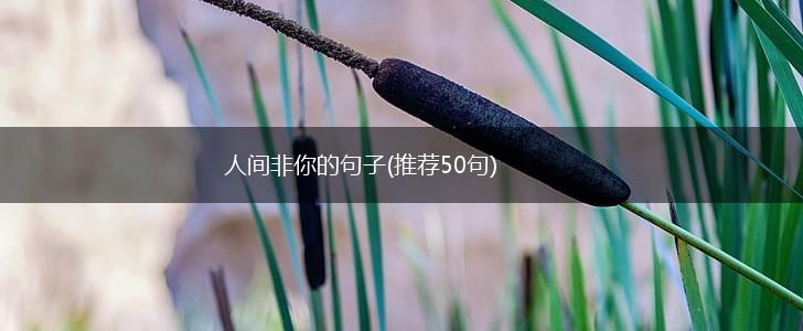 人间非你的句子(推荐50句),第1张