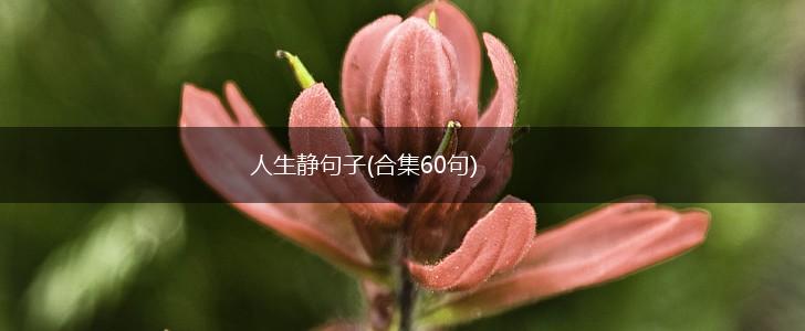 人生静句子(合集60句),第1张