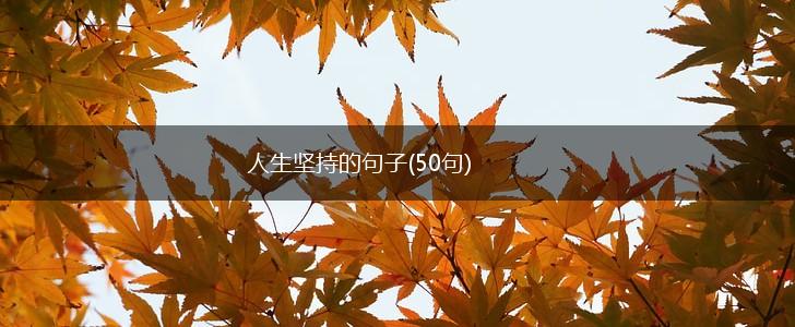 人生坚持的句子(50句),第1张