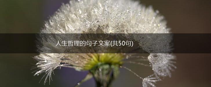 人生哲理的句子文案(共50句),第1张