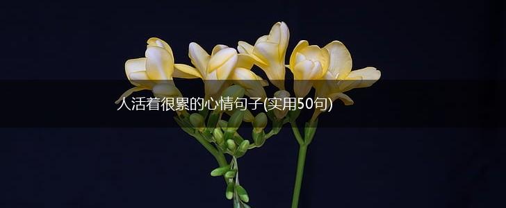 人活着很累的心情句子(实用50句),第1张
