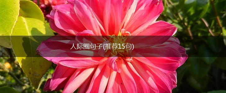 人际圈句子(推荐15句),第1张