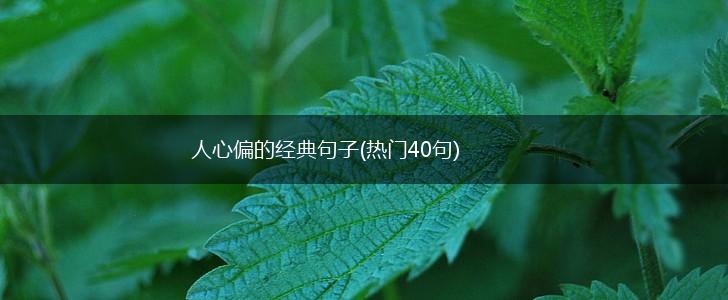 人心偏的经典句子(热门40句),第1张