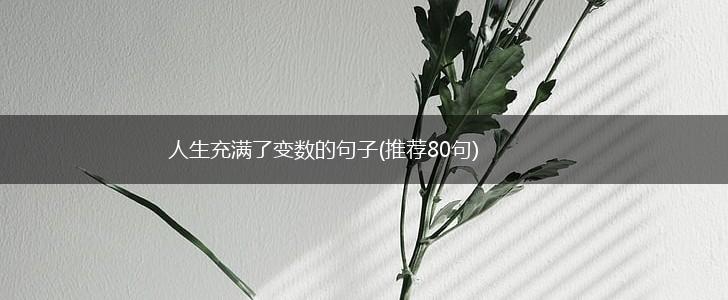 人生充满了变数的句子(推荐80句),第1张