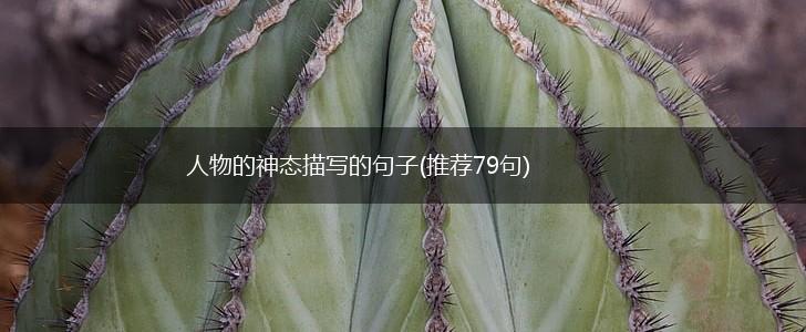人物的神态描写的句子(推荐79句),第1张