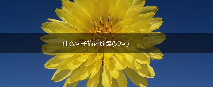 什么句子描述烦躁(50句),第1张