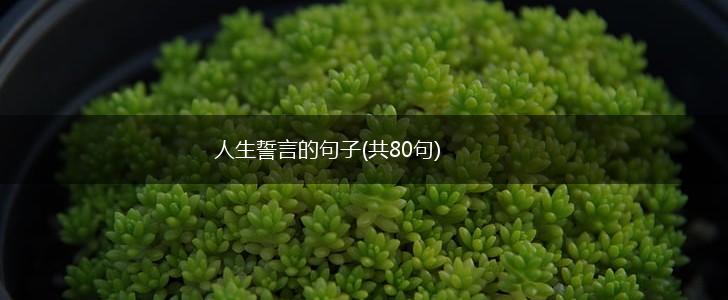 人生誓言的句子(共80句),第1张