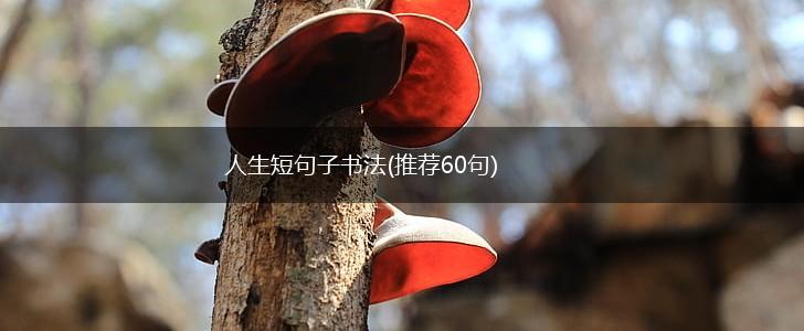 人生短句子书法(推荐60句),第1张