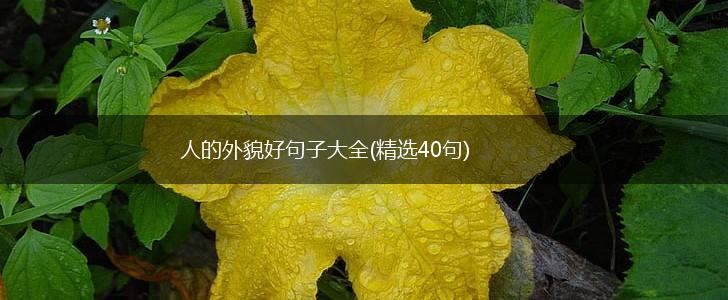 人的外貌好句子大全(精选40句),第1张