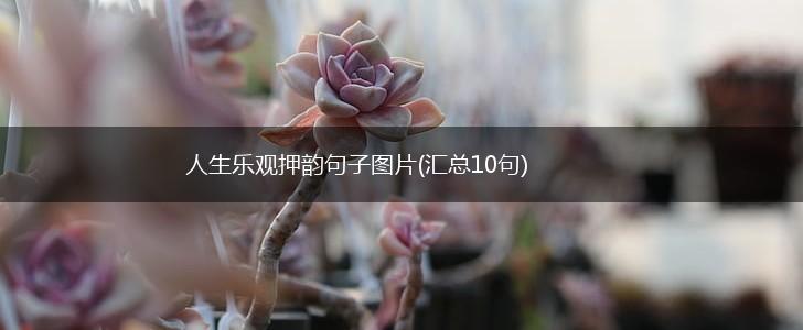 人生乐观押韵句子图片(汇总10句),第1张