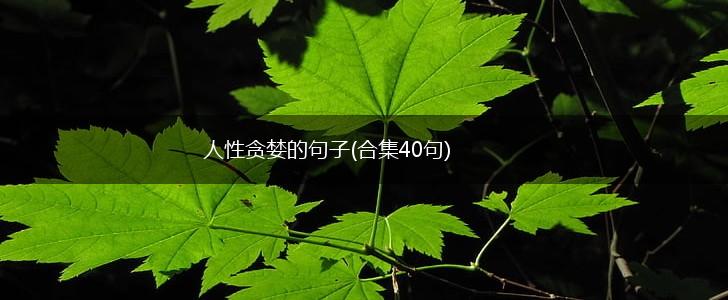 人性贪婪的句子(合集40句),第1张