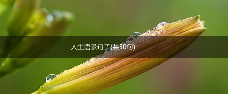 人生语录句子(共50句),第1张