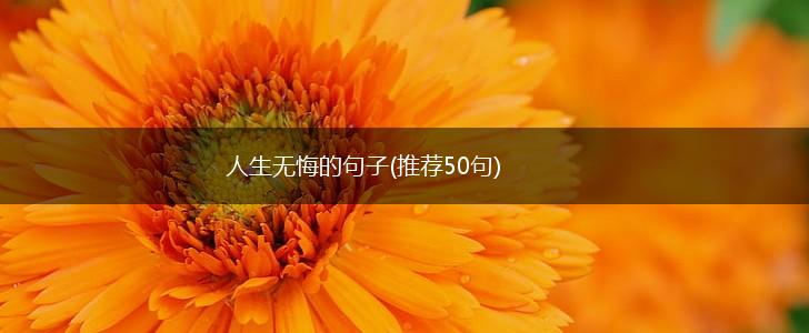 人生无悔的句子(推荐50句),第1张