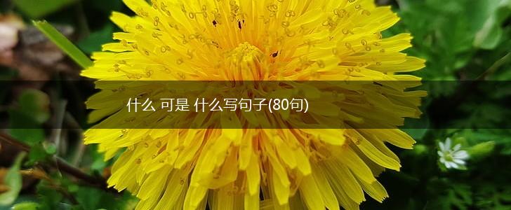 什么 可是 什么写句子(80句),第1张