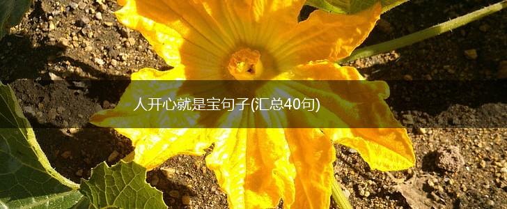 人开心就是宝句子(汇总40句),第1张