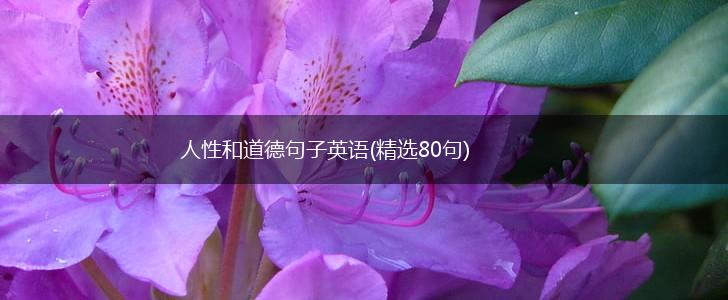 人性和道德句子英语(精选80句),第1张