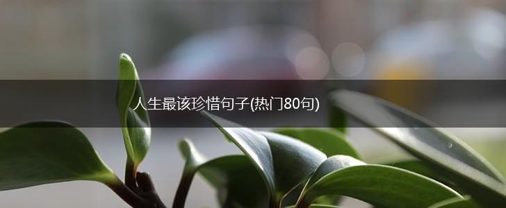 人生最该珍惜句子(热门80句),第1张