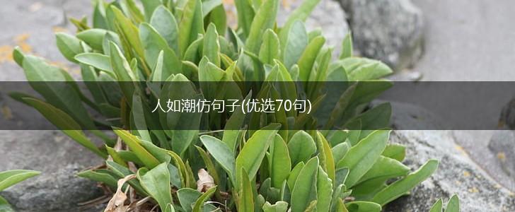 人如潮仿句子(优选70句),第1张