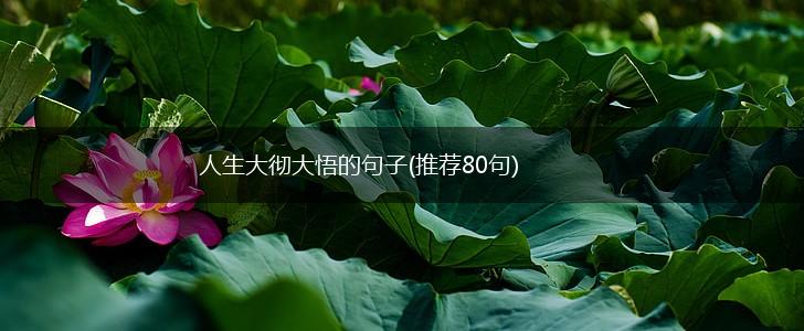 人生大彻大悟的句子(推荐80句),第1张