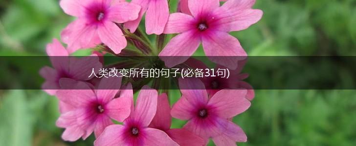 人类改变所有的句子(必备31句),第1张