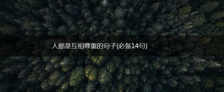 人都是互相尊重的句子(必备14句),第1张