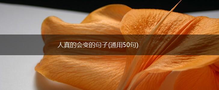 人真的会变的句子(通用50句),第1张