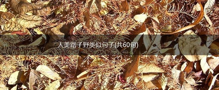 人美路子野类似句子(共60句),第1张