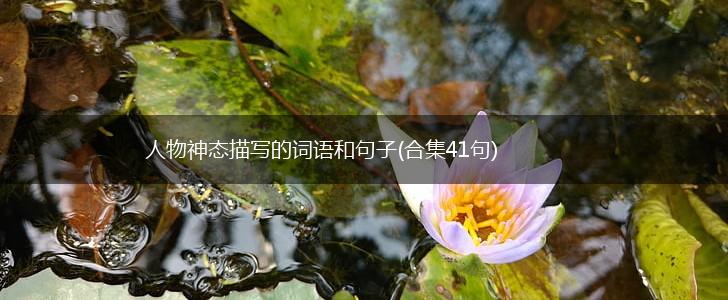人物神态描写的词语和句子(合集41句),第1张