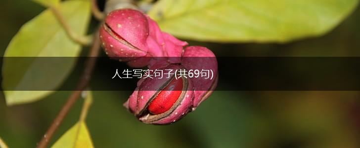 人生写实句子(共69句),第1张