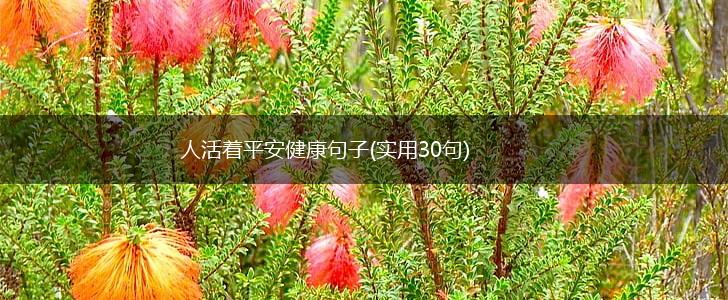 人活着平安健康句子(实用30句),第1张