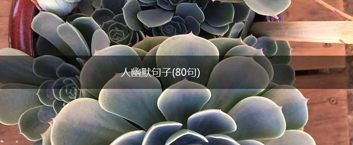 人幽默句子(80句),第1张