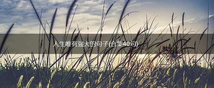 人生唯有强大的句子(合集40句),第1张