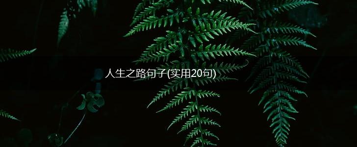 人生之路句子(实用20句),第1张