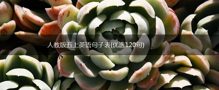 人教版五上英语句子表(优选120句),第1张
