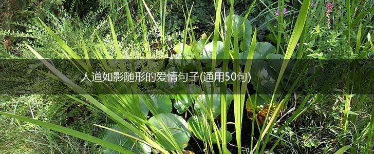 人道如影随形的爱情句子(通用50句),第1张