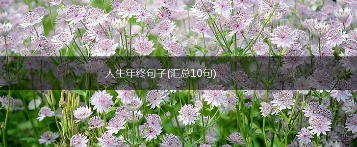 人生年终句子(汇总10句),第1张