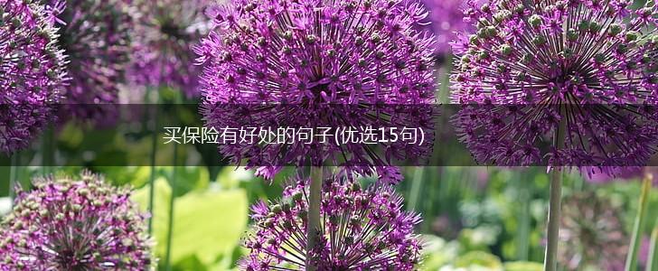 买保险有好处的句子(优选15句),第1张