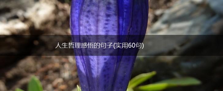 人生哲理感悟的句子(实用60句),第1张
